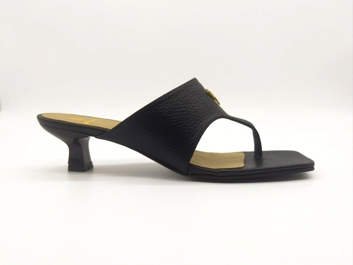 IMG_0786